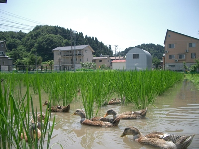 CIMG0017.JPG