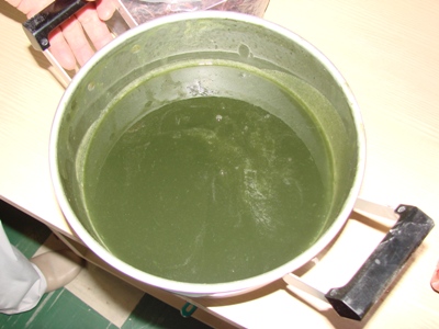 DSC00355.JPG